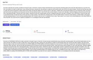 Masquer PII detection API interface