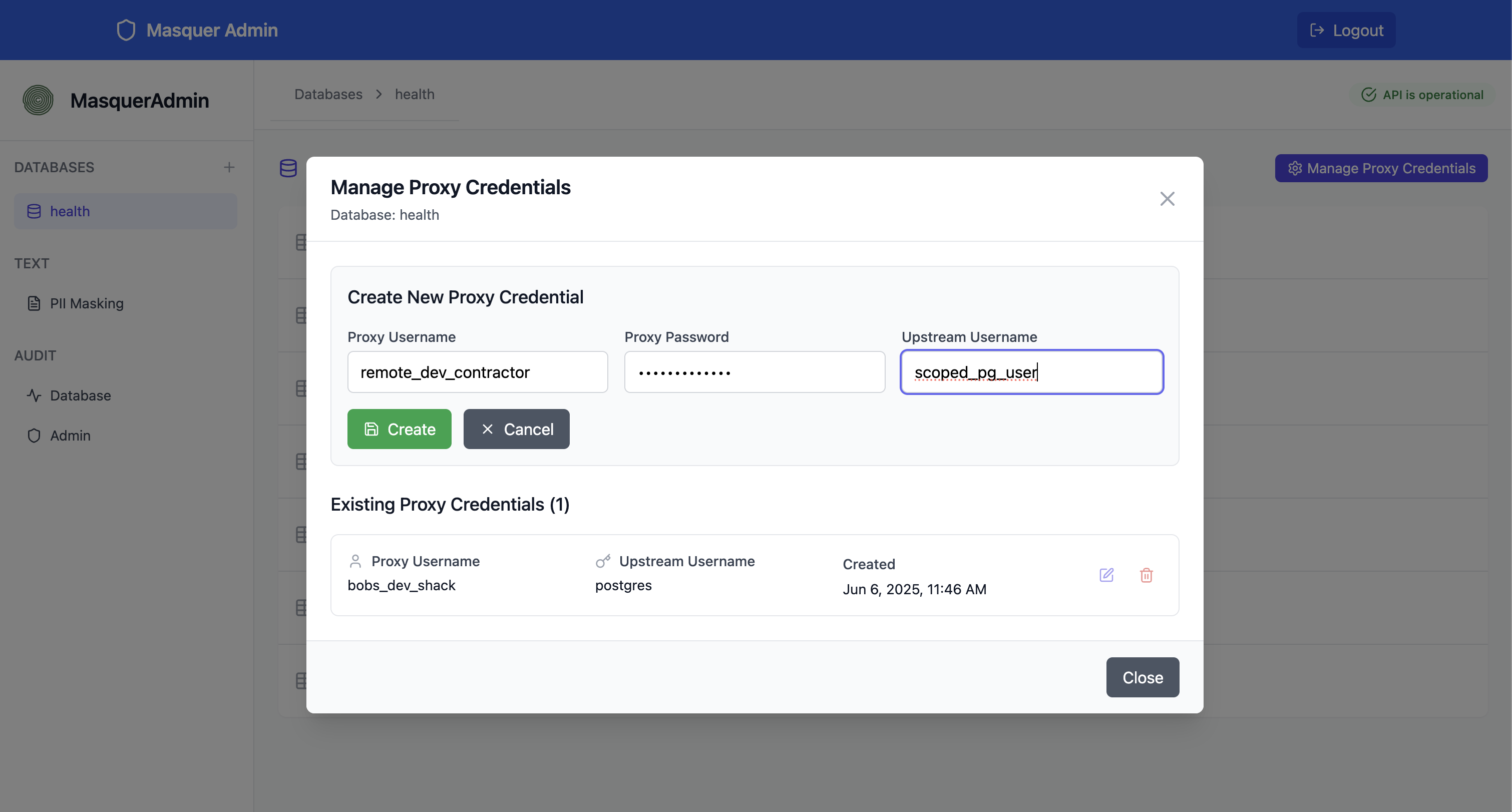 Masquer proxy credentials setup